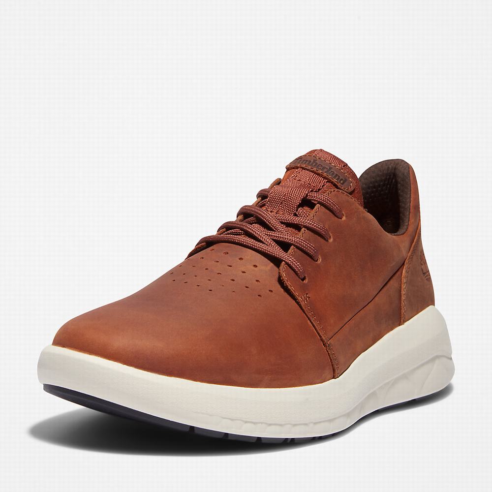 Pánské Tenisky Timberland Bradstreet Ultra Hnědé | TI90347-590