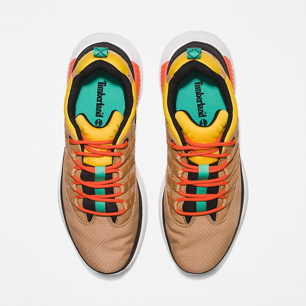 Pánské Tenisky Timberland Euro Trekker Low Béžový | TI47268-138