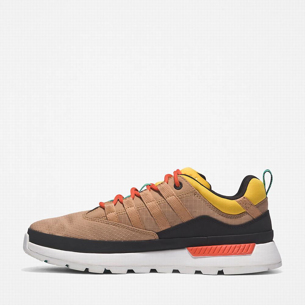 Pánské Tenisky Timberland Euro Trekker Low Béžový | TI47268-138