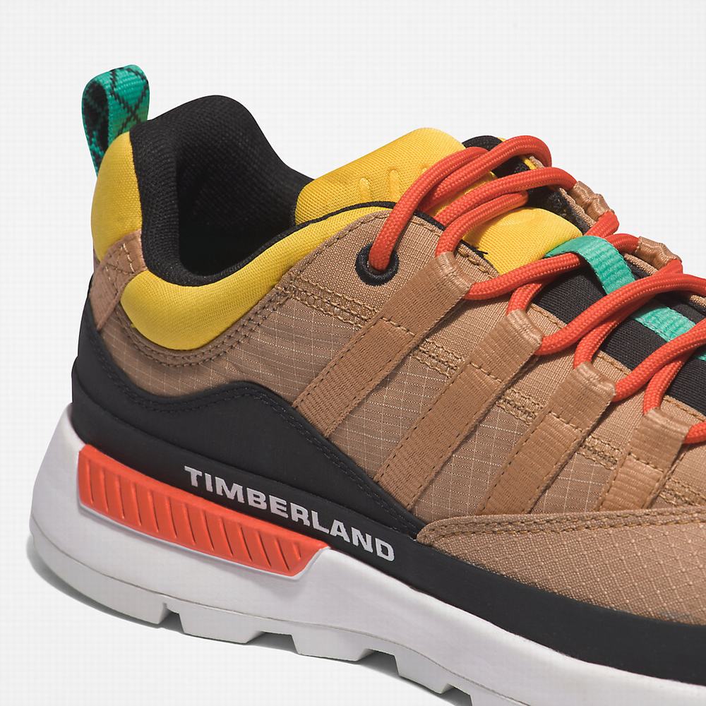 Pánské Tenisky Timberland Euro Trekker Low Béžový | TI47268-138