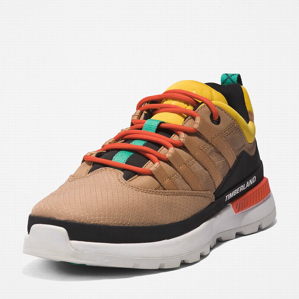 Pánské Tenisky Timberland Euro Trekker Low Béžový | TI47268-138