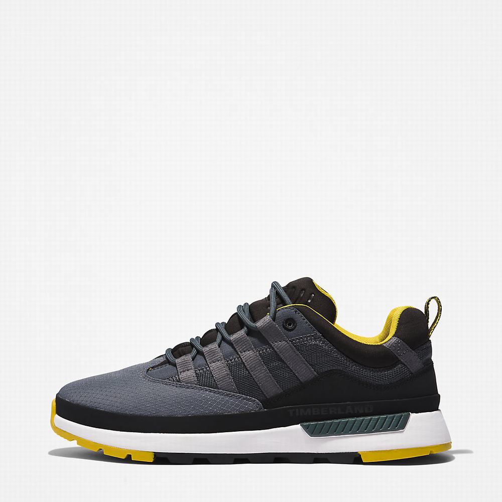 Pánské Tenisky Timberland Euro Trekker Low Šedé | TI69548-016