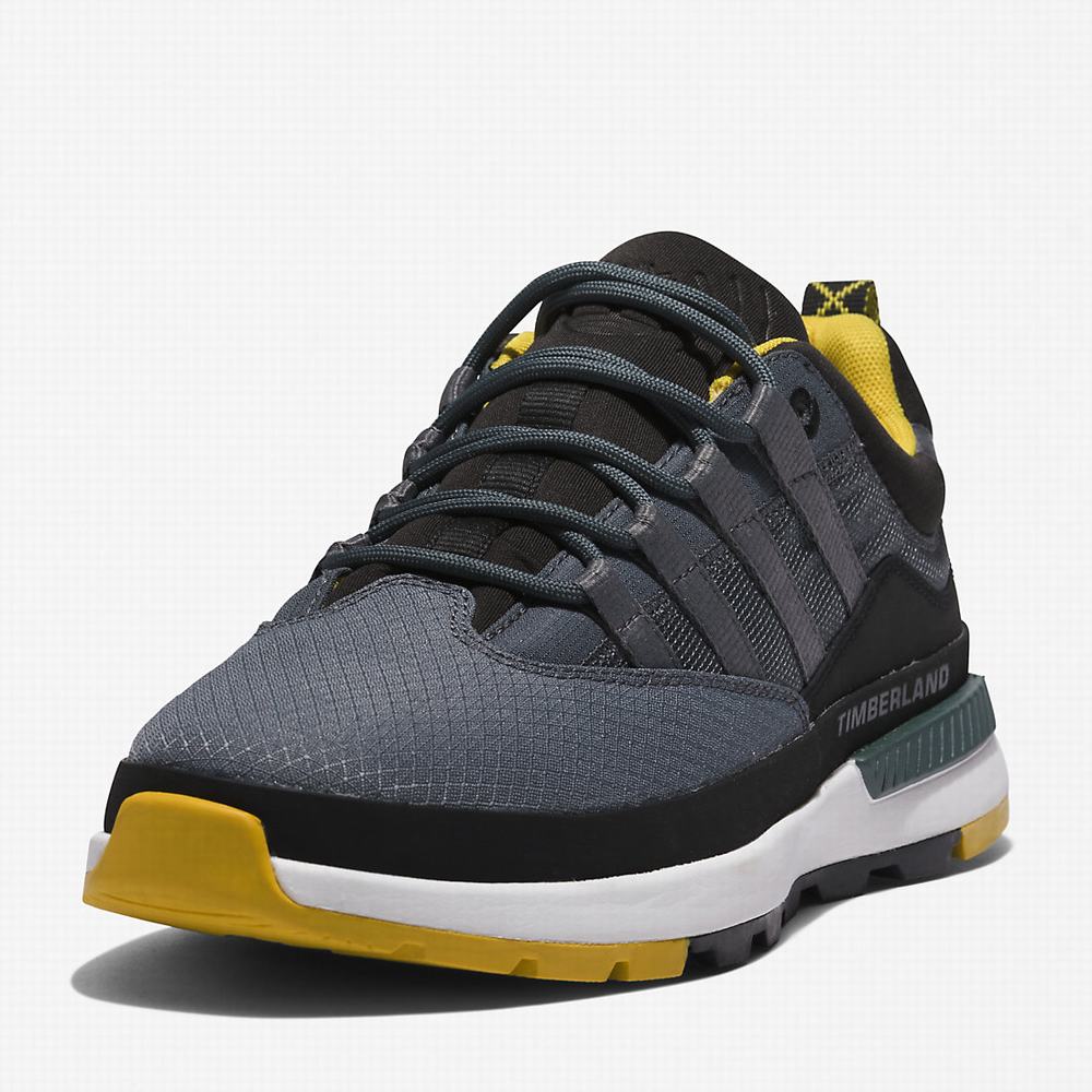Pánské Tenisky Timberland Euro Trekker Low Šedé | TI69548-016