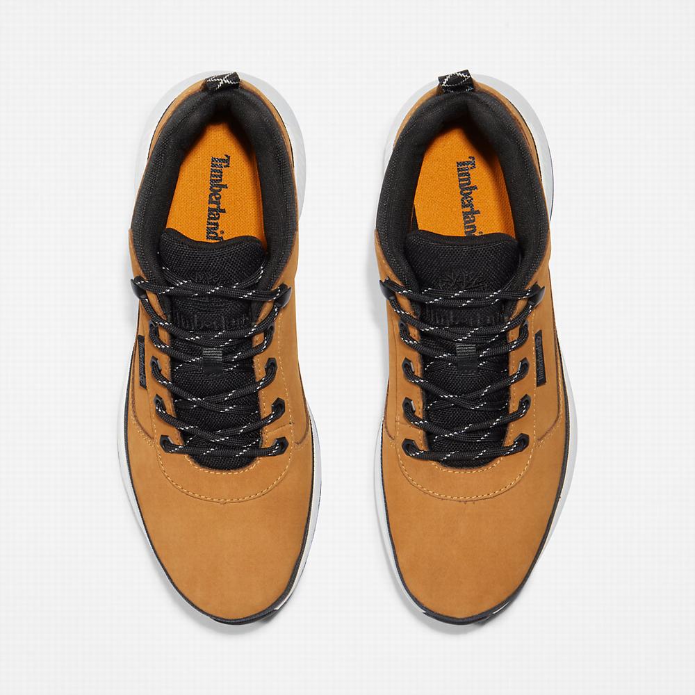 Pánské Tenisky Timberland Field Trekker Low Hiker Žluté | TI71250-681