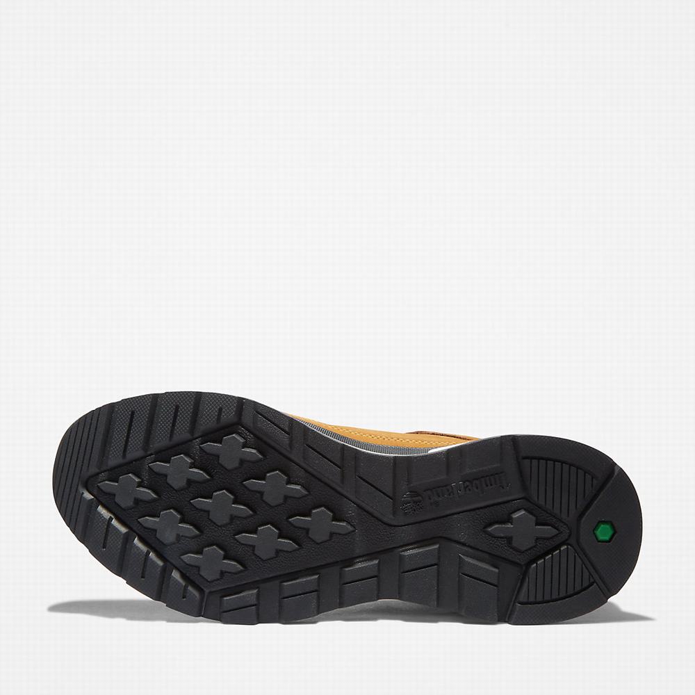 Pánské Tenisky Timberland Field Trekker Low Hiker Žluté | TI71250-681