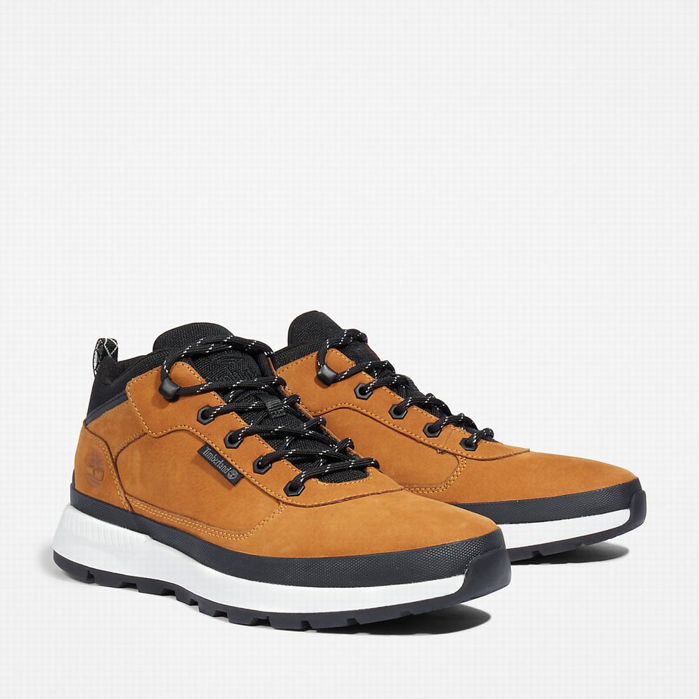 Pánské Tenisky Timberland Field Trekker Low Hiker Žluté | TI71250-681
