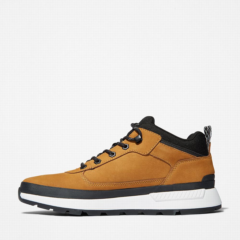 Pánské Tenisky Timberland Field Trekker Low Hiker Žluté | TI71250-681