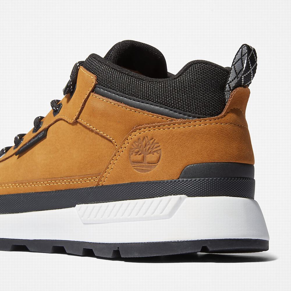 Pánské Tenisky Timberland Field Trekker Low Hiker Žluté | TI71250-681