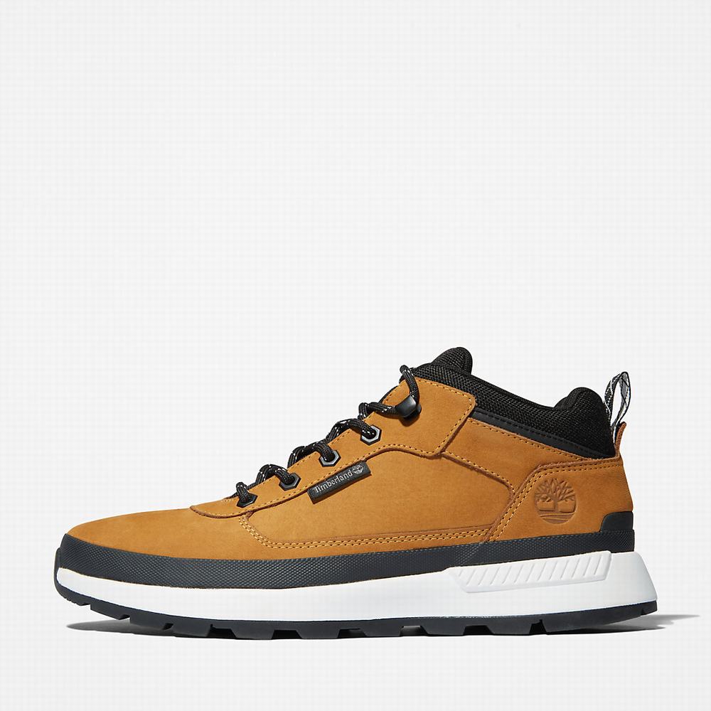 Pánské Tenisky Timberland Field Trekker Low Hiker Žluté | TI71250-681