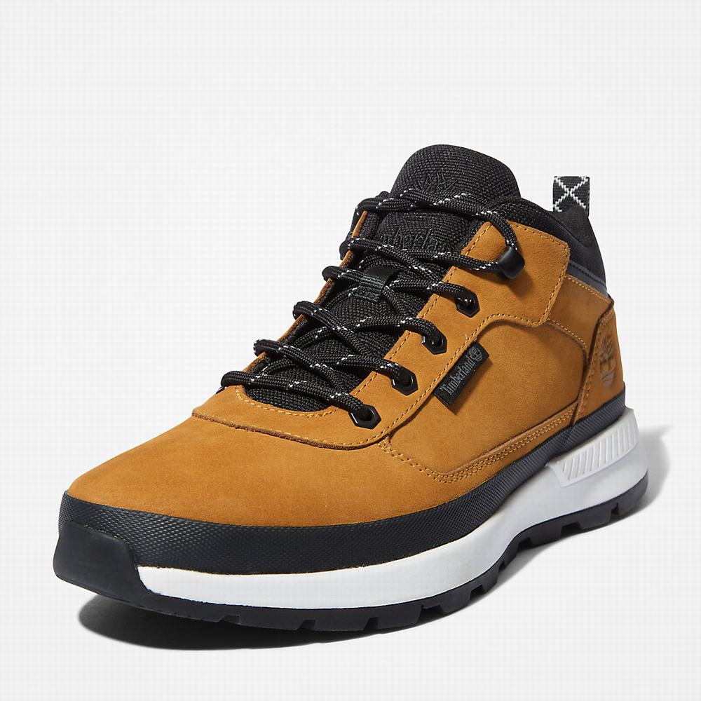 Pánské Tenisky Timberland Field Trekker Low Hiker Žluté | TI71250-681