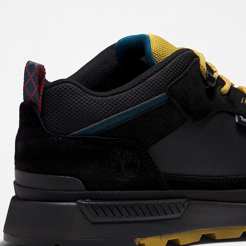 Pánské Tenisky Timberland Field Trekker Černé | TI85019-879