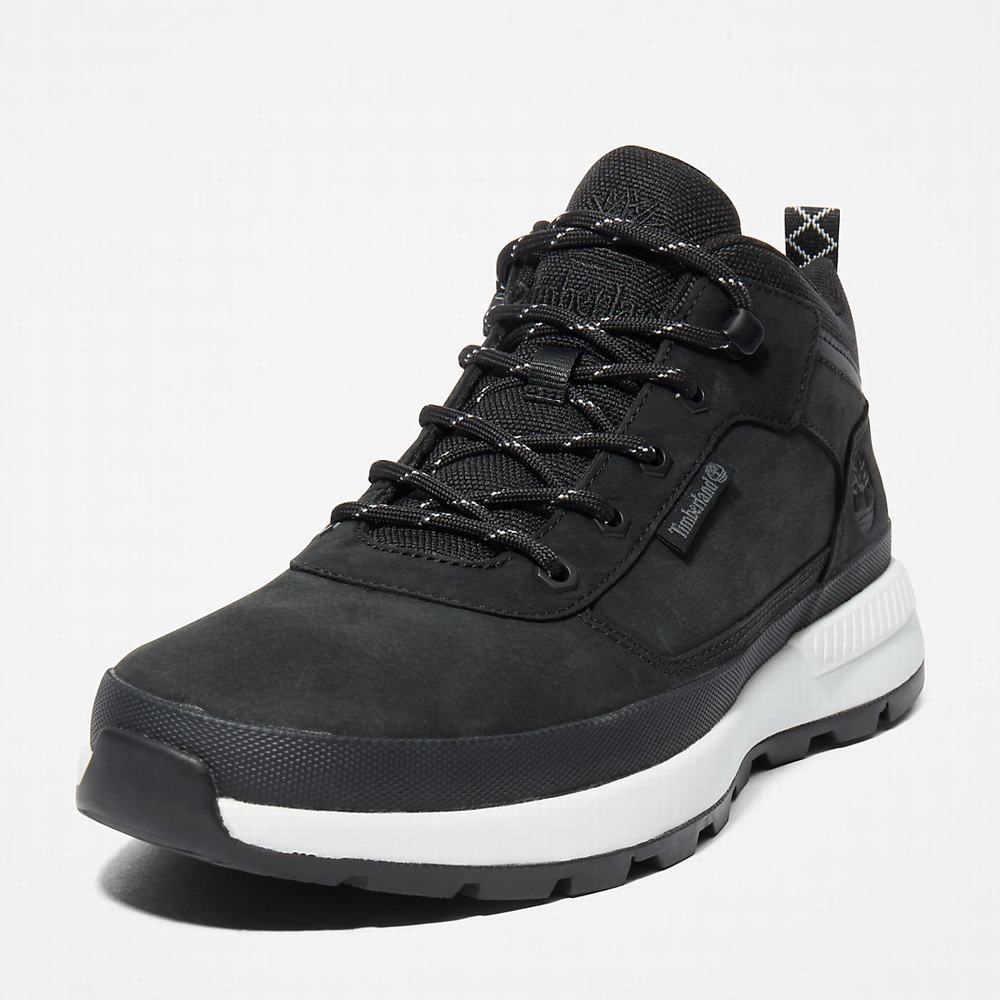 Pánské Tenisky Timberland Field Trekker Low Hiker Černé | TI86210-351