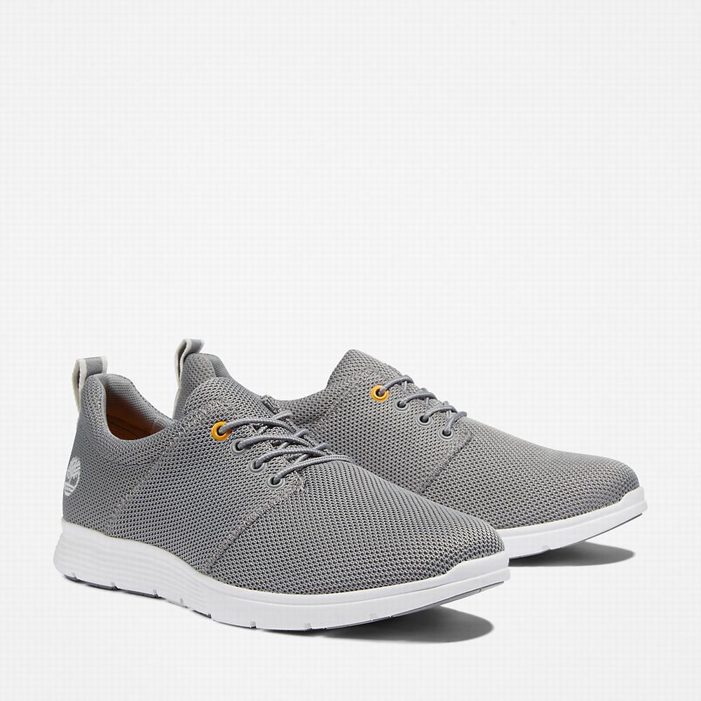 Pánské Tenisky Timberland Killington Oxford Shoe Šedé | TI39702-526
