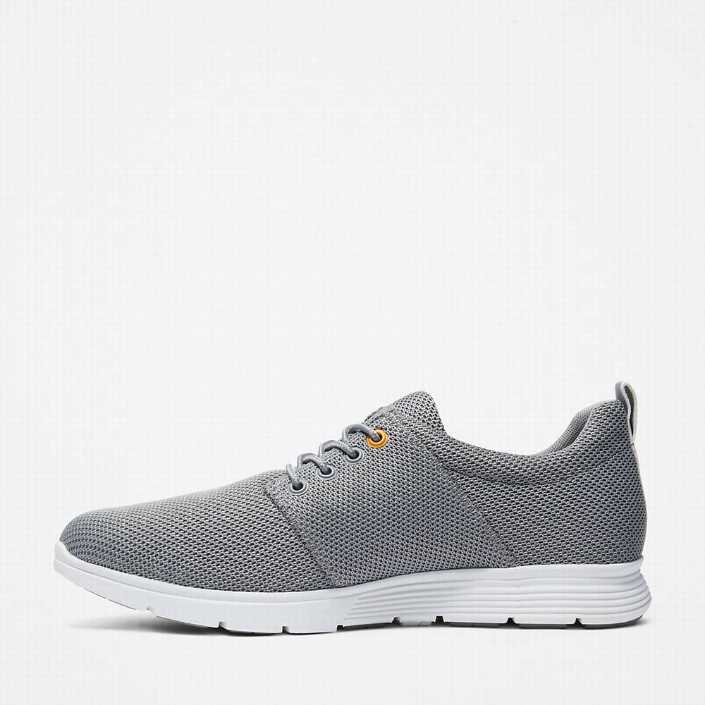 Pánské Tenisky Timberland Killington Oxford Shoe Šedé | TI39702-526