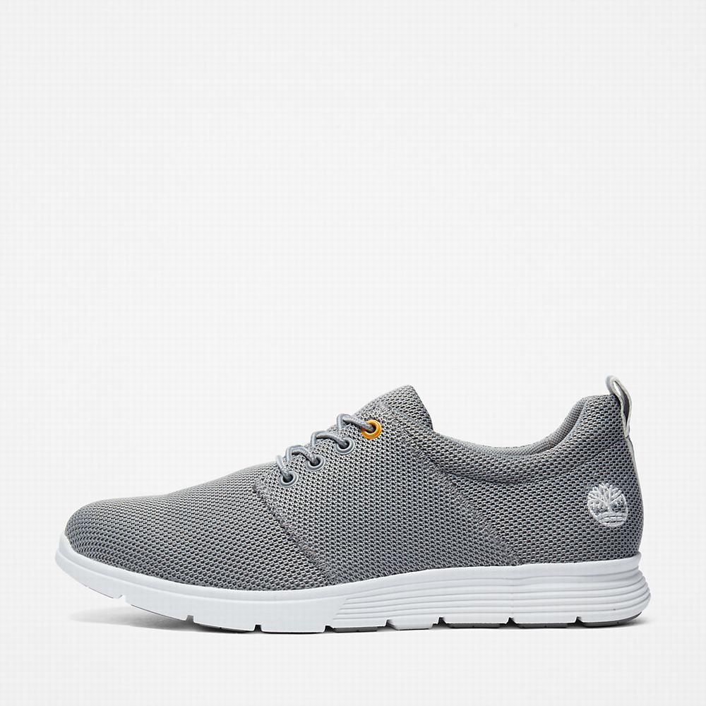 Pánské Tenisky Timberland Killington Oxford Shoe Šedé | TI39702-526