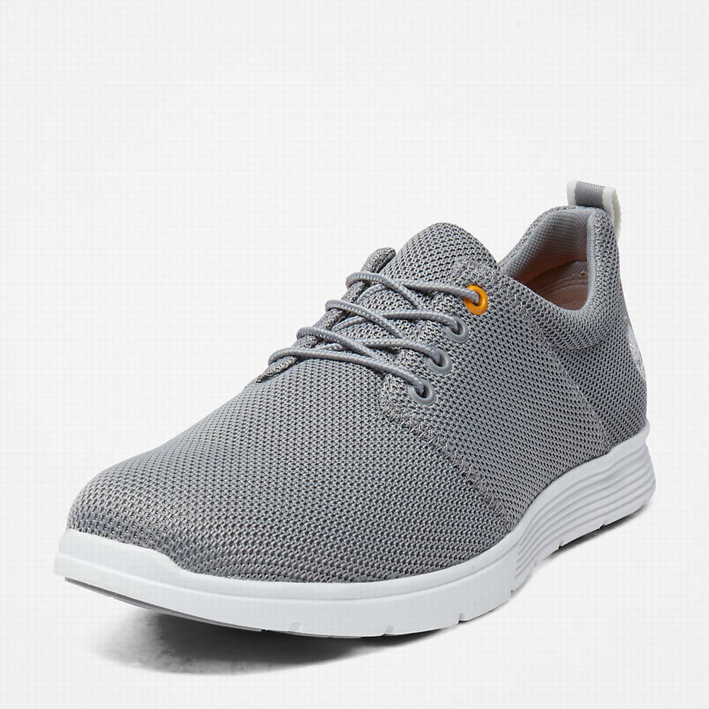 Pánské Tenisky Timberland Killington Oxford Shoe Šedé | TI39702-526