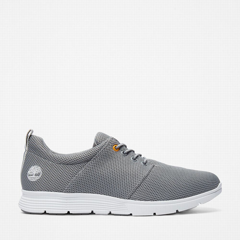 Pánské Tenisky Timberland Killington Oxford Shoe Šedé | TI39702-526