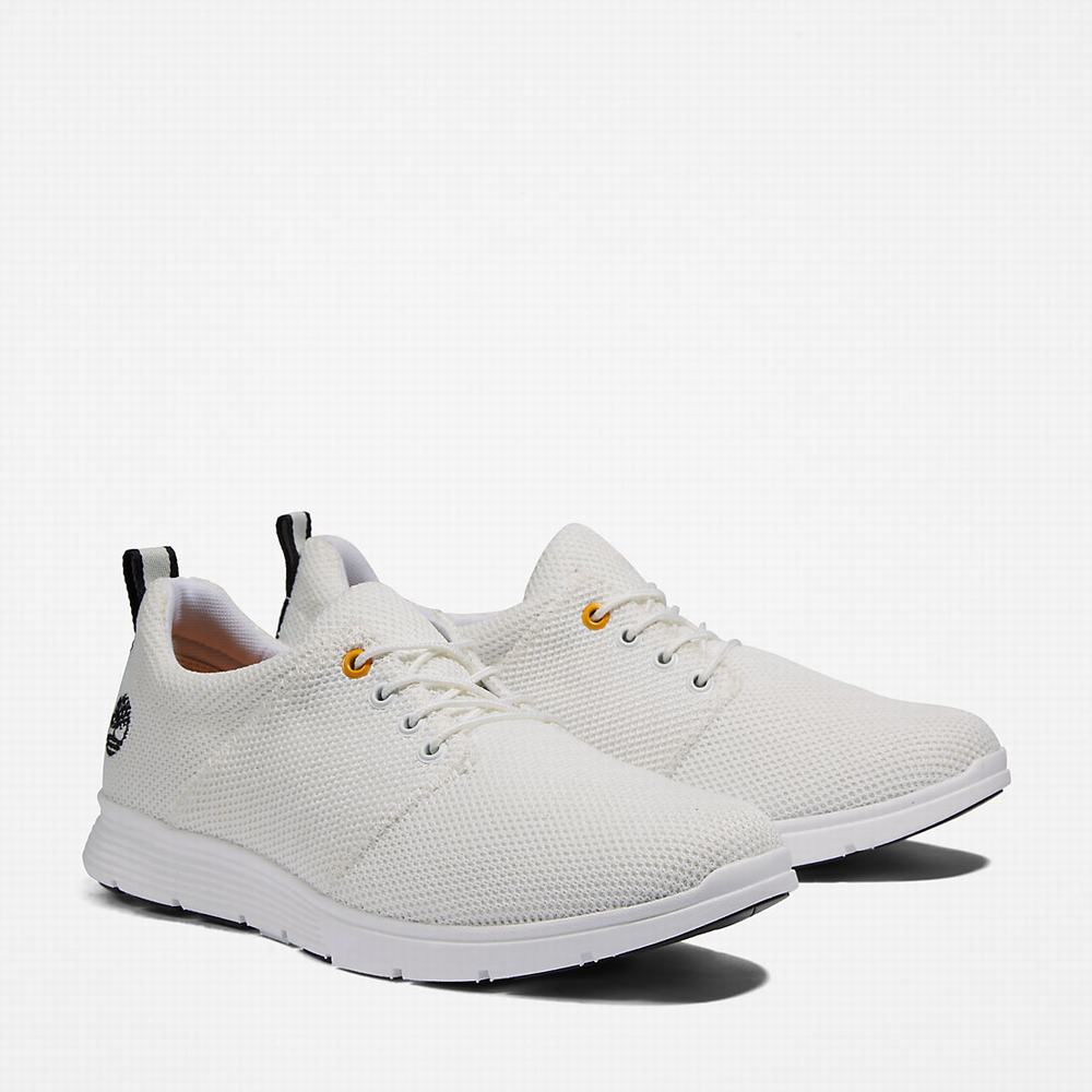 Pánské Tenisky Timberland Killington Oxford Shoe Bílé | TI51834-195