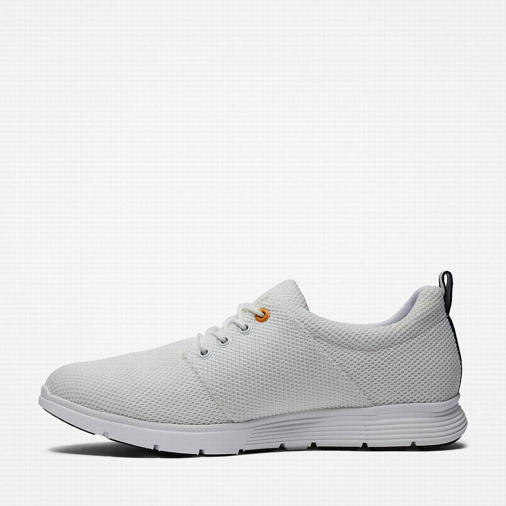 Pánské Tenisky Timberland Killington Oxford Shoe Bílé | TI51834-195