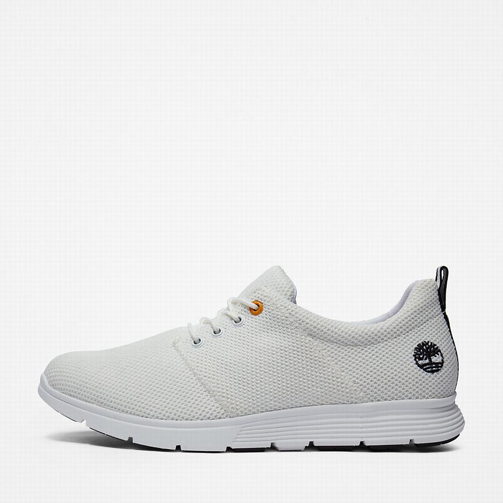 Pánské Tenisky Timberland Killington Oxford Shoe Bílé | TI51834-195