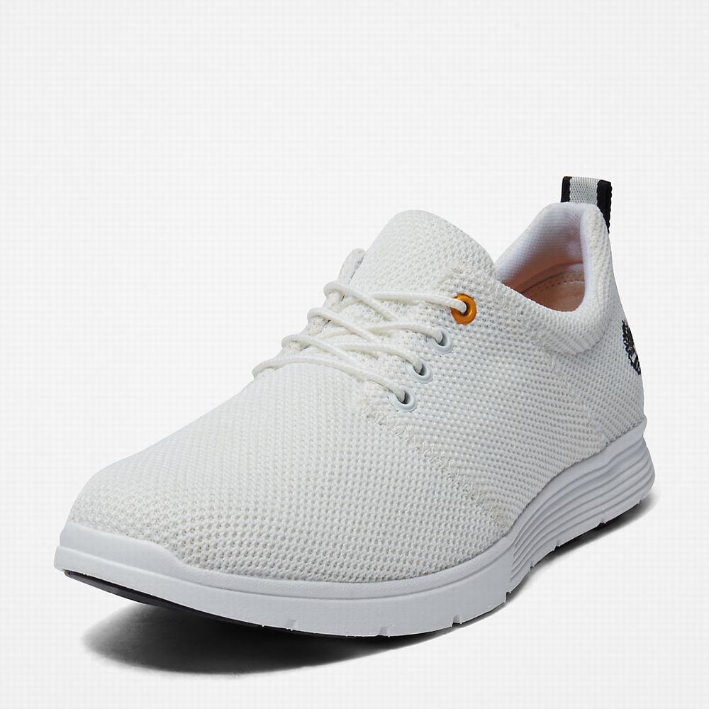 Pánské Tenisky Timberland Killington Oxford Shoe Bílé | TI51834-195