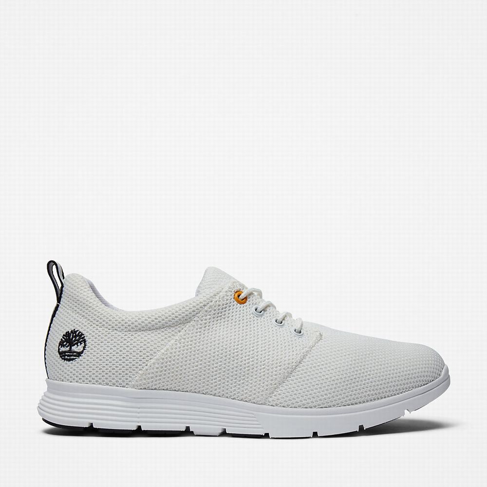 Pánské Tenisky Timberland Killington Oxford Shoe Bílé | TI51834-195