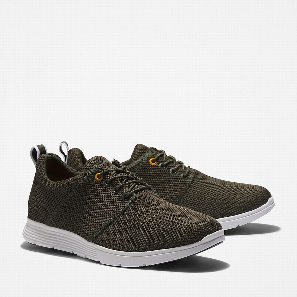 Pánské Tenisky Timberland Killington Oxford Shoe Tmavě Zelene | TI75938-672