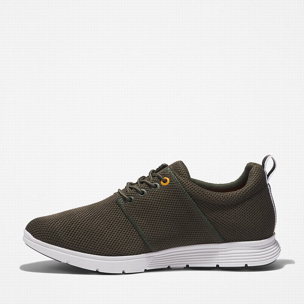 Pánské Tenisky Timberland Killington Oxford Shoe Tmavě Zelene | TI75938-672