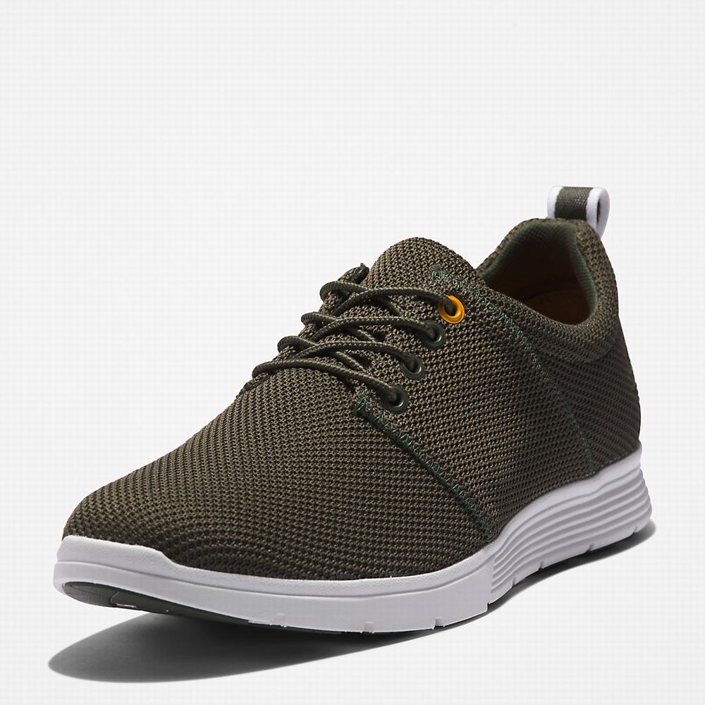 Pánské Tenisky Timberland Killington Oxford Shoe Tmavě Zelene | TI75938-672
