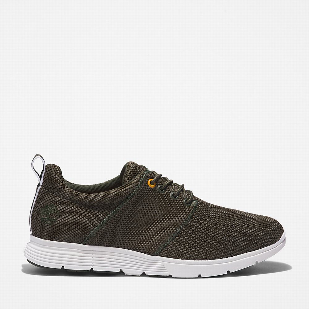 Pánské Tenisky Timberland Killington Oxford Shoe Tmavě Zelene | TI75938-672