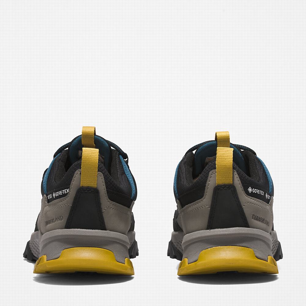 Pánské Tenisky Timberland Lincoln Peak Gore-Tex® Hiking Šedé Černé | TI07681-598