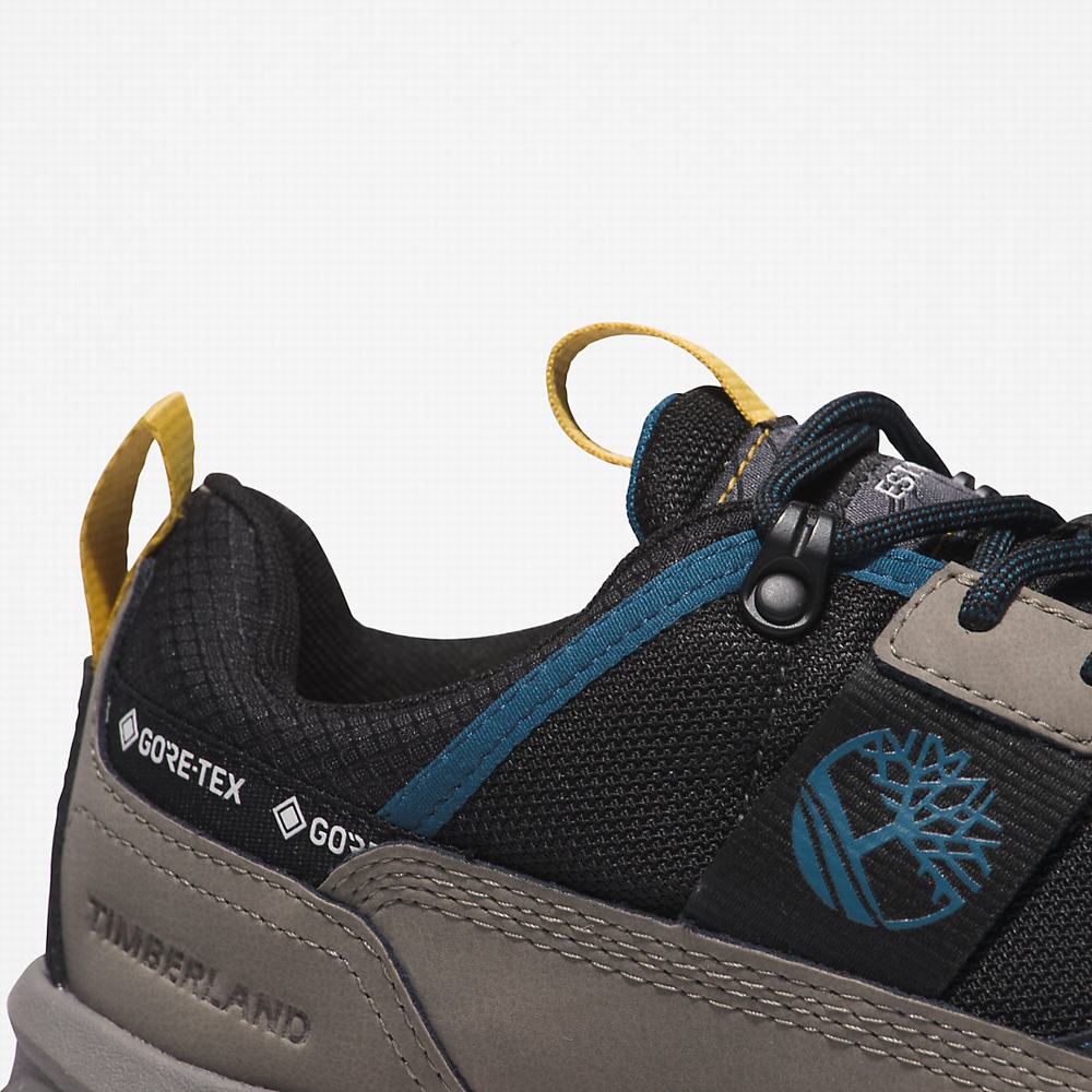 Pánské Tenisky Timberland Lincoln Peak Gore-Tex® Hiking Šedé Černé | TI07681-598