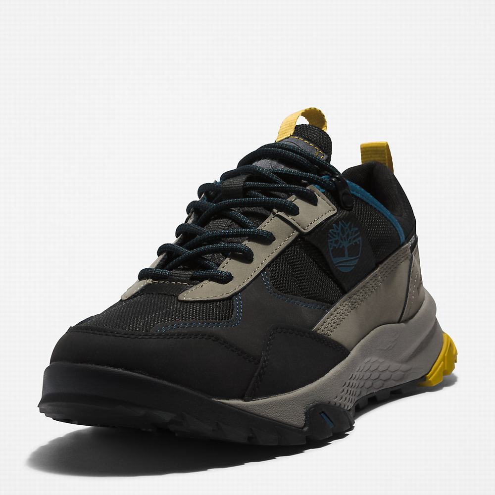 Pánské Tenisky Timberland Lincoln Peak Gore-Tex® Hiking Šedé Černé | TI07681-598