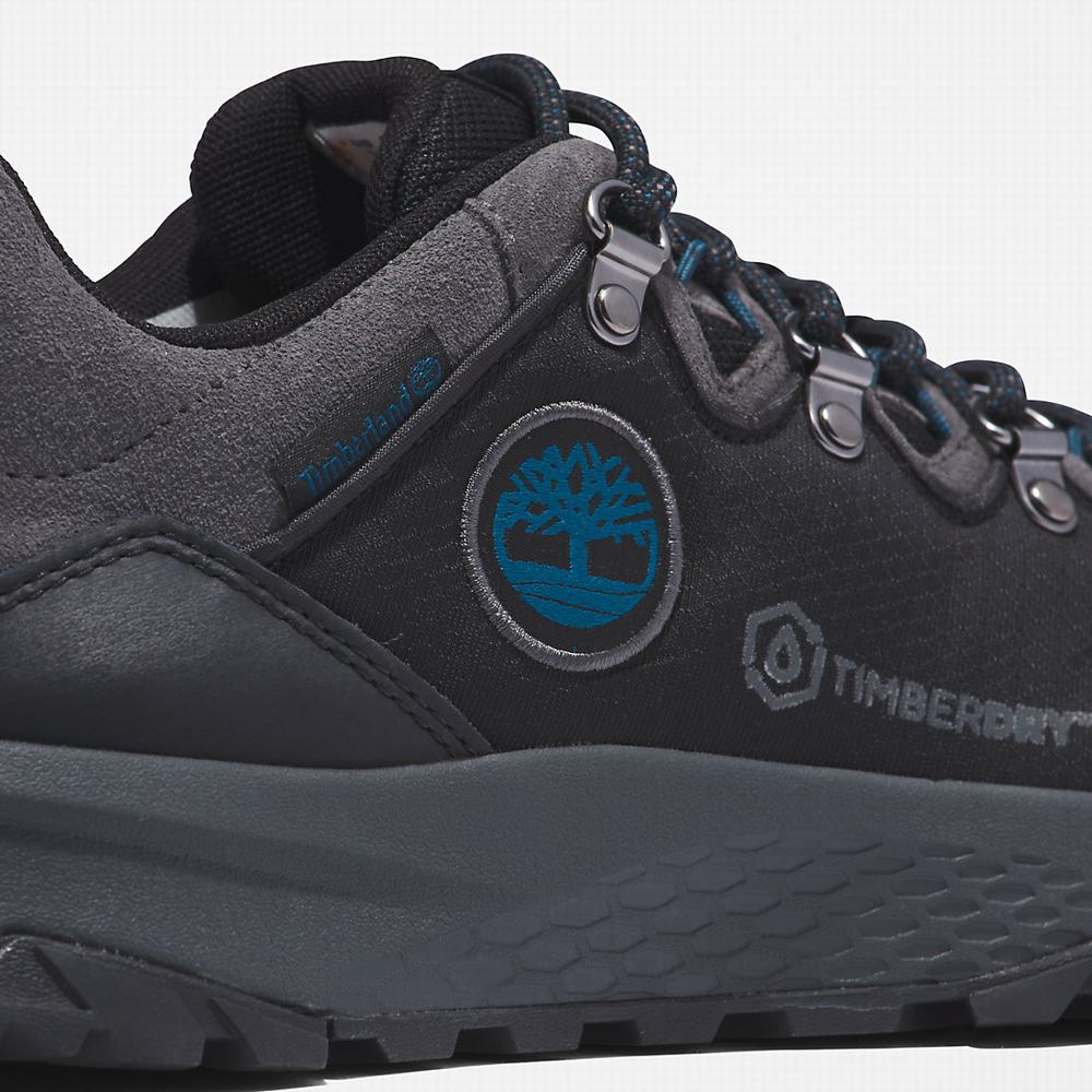 Pánské Tenisky Timberland Lincoln Peak Černé | TI61903-325