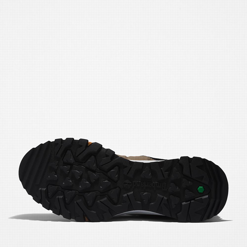 Pánské Tenisky Timberland Lincoln Peak Šedé | TI50619-423