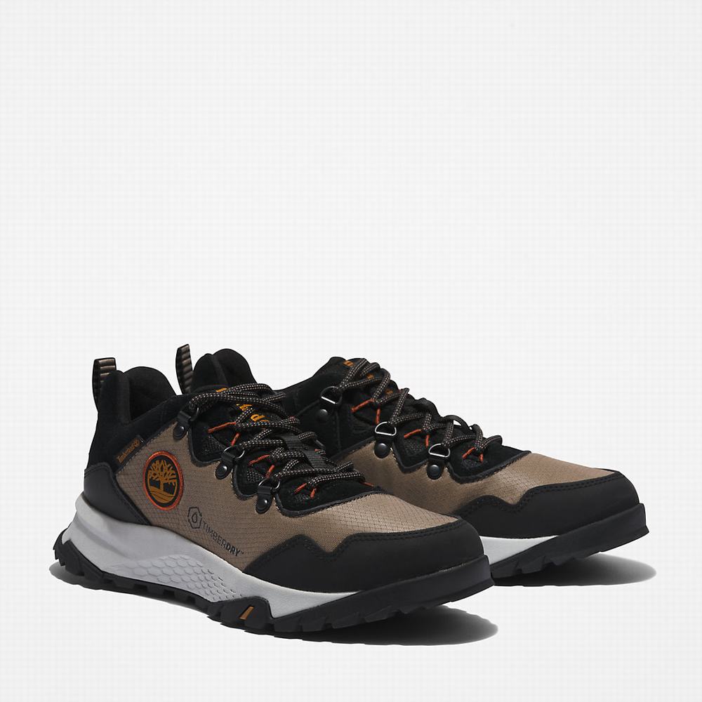 Pánské Tenisky Timberland Lincoln Peak Šedé | TI50619-423