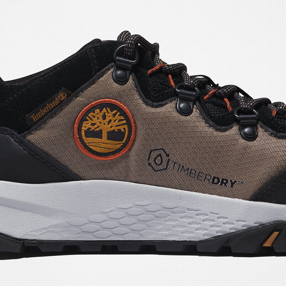 Pánské Tenisky Timberland Lincoln Peak Šedé | TI50619-423