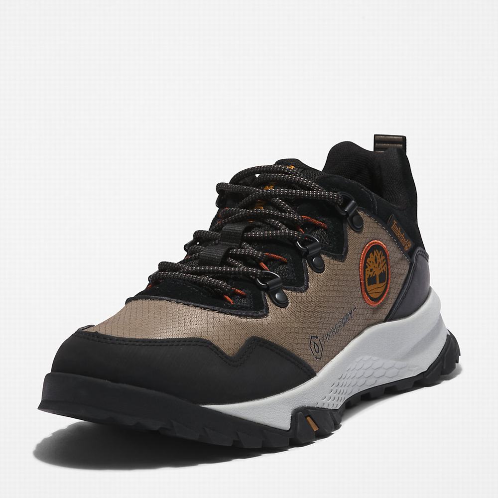 Pánské Tenisky Timberland Lincoln Peak Šedé | TI50619-423