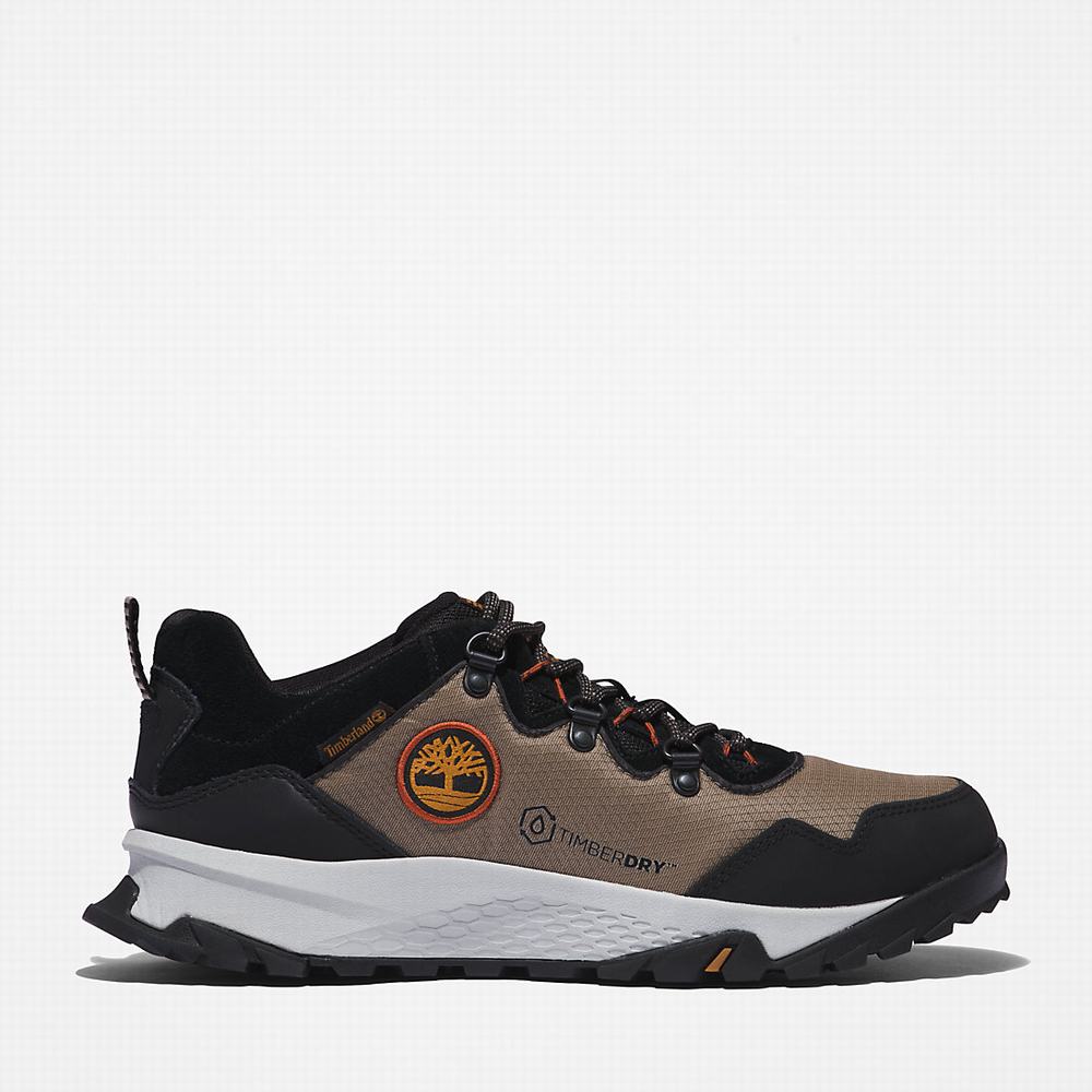 Pánské Tenisky Timberland Lincoln Peak Šedé | TI50619-423