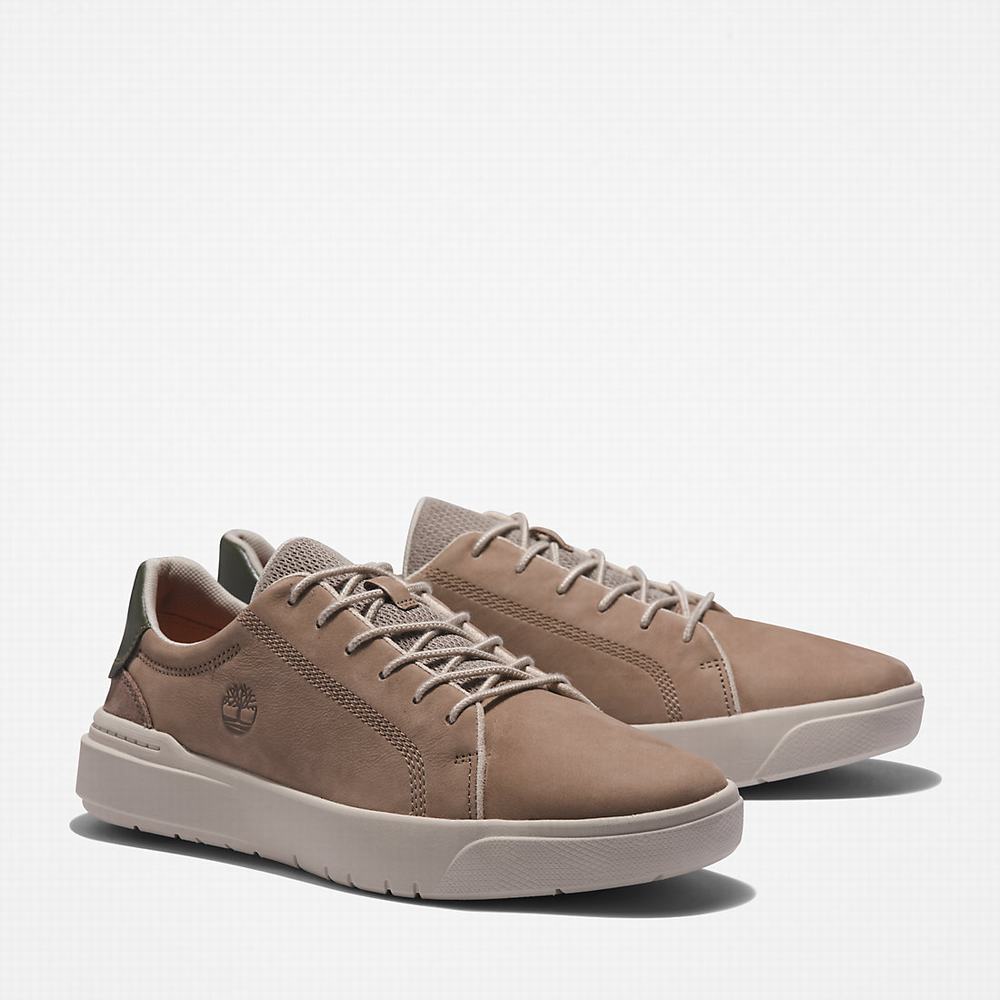 Pánské Tenisky Timberland Seneca Bay Leather Béžový | TI85416-963
