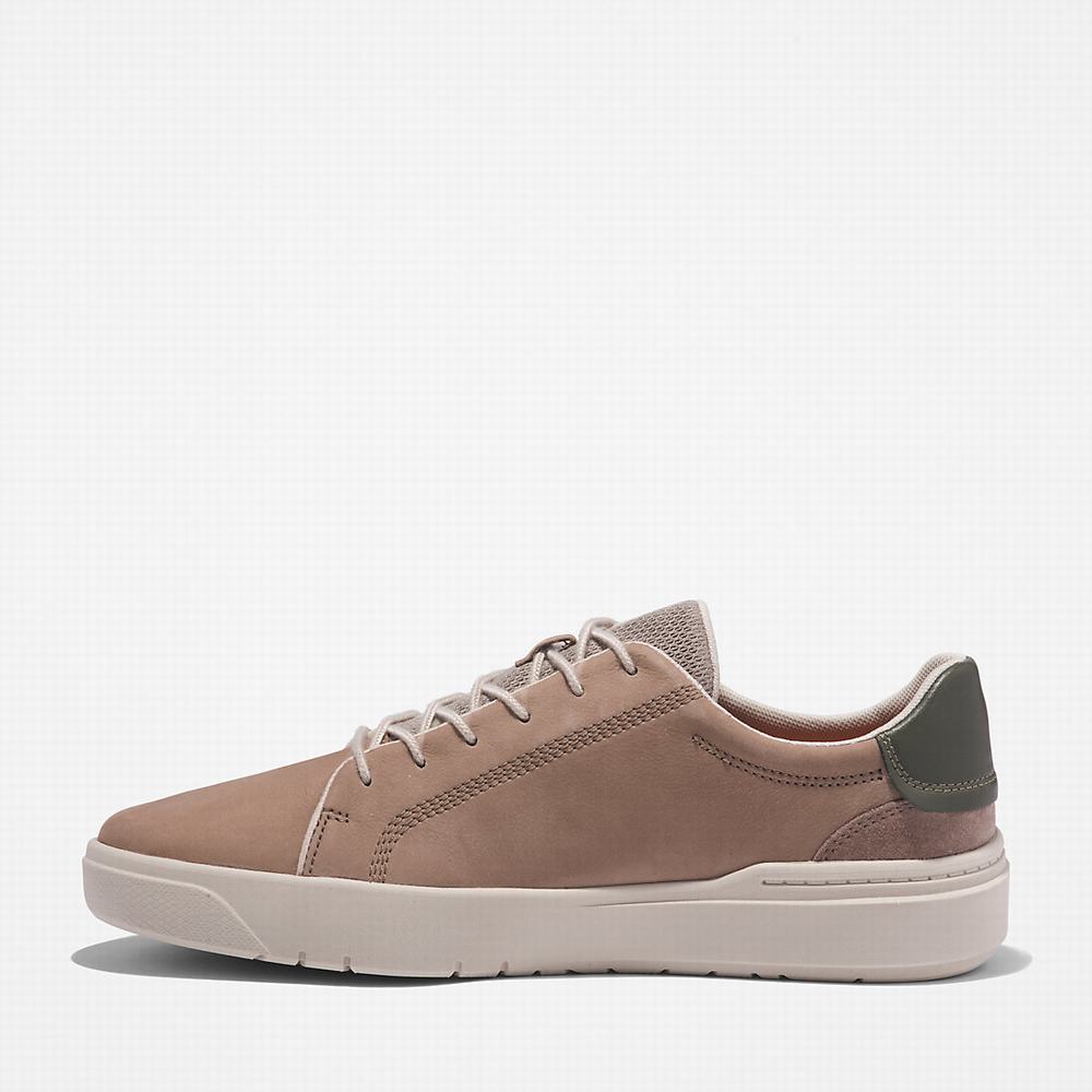Pánské Tenisky Timberland Seneca Bay Leather Béžový | TI85416-963
