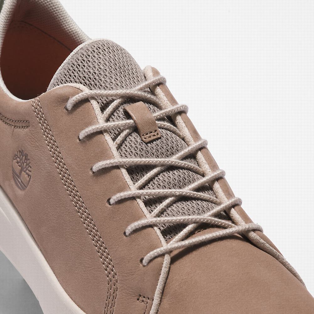 Pánské Tenisky Timberland Seneca Bay Leather Béžový | TI85416-963