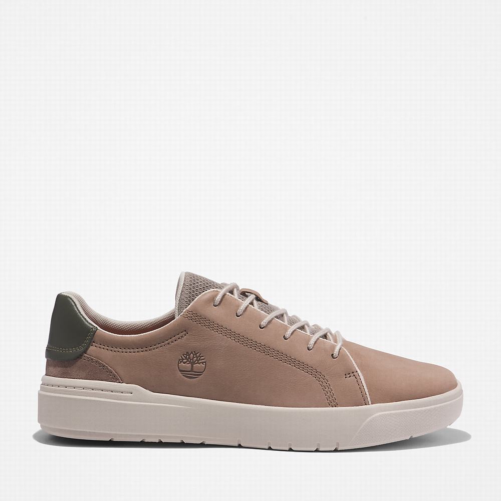 Pánské Tenisky Timberland Seneca Bay Leather Béžový | TI85416-963