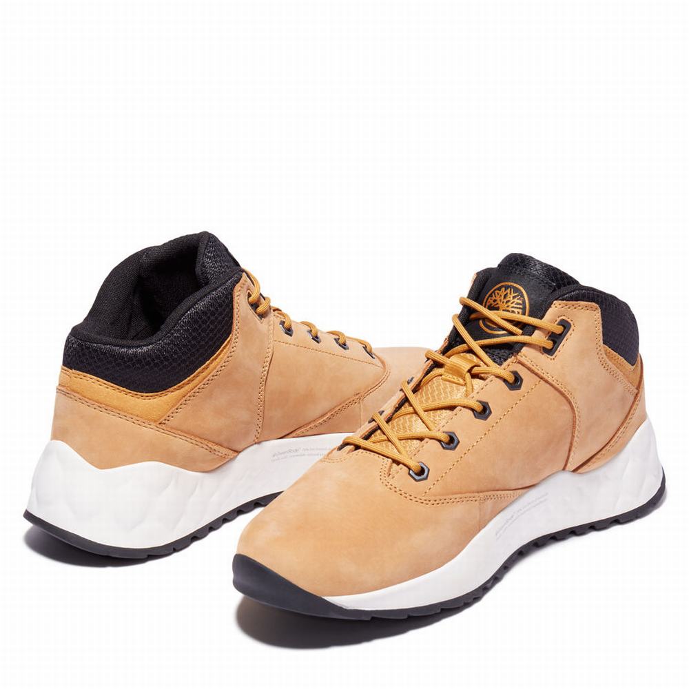 Pánské Tenisky Timberland Solar Wave GreenStride™ Super Žluté | TI23810-359