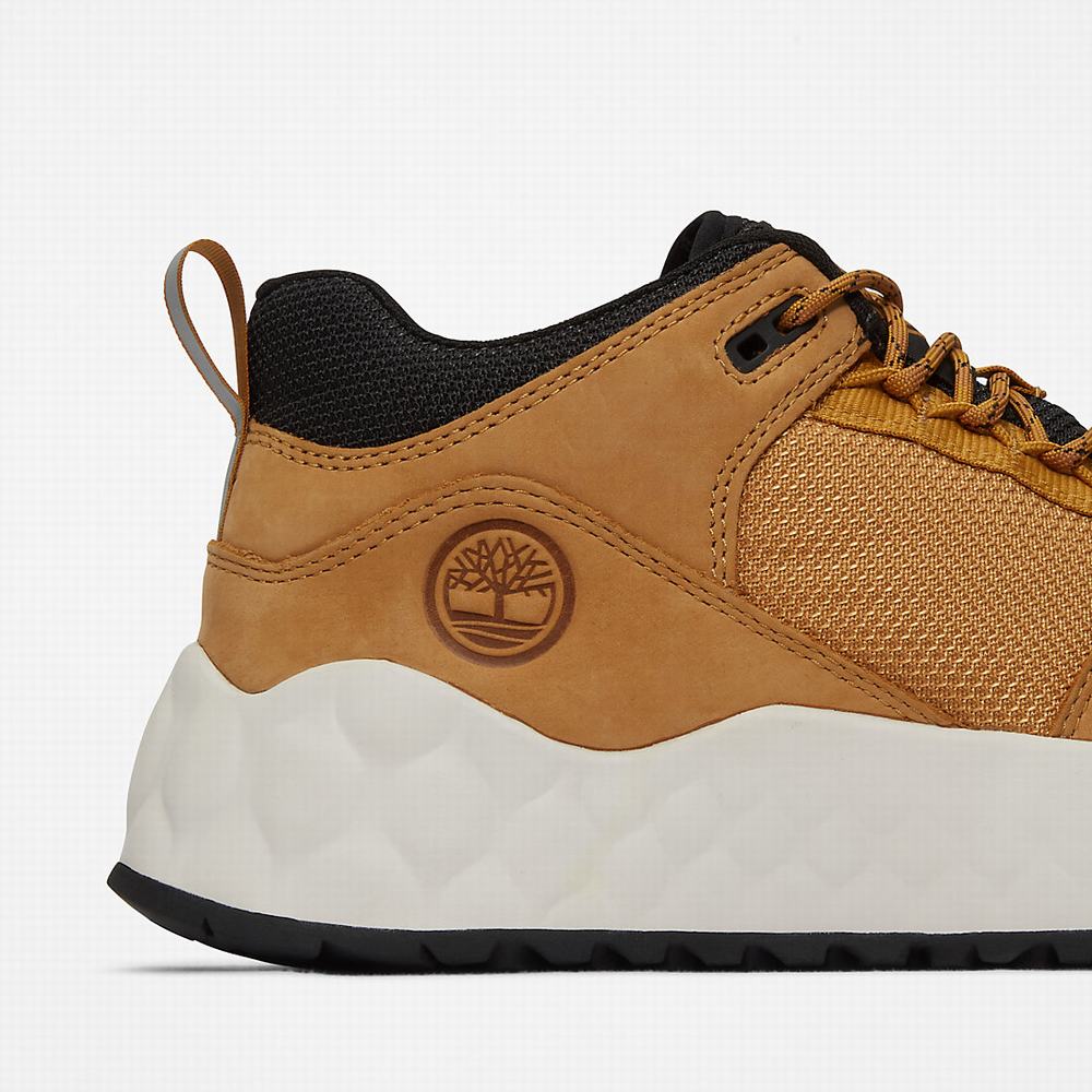 Pánské Tenisky Timberland Solar Wave GreenStride™ Žluté | TI37018-531