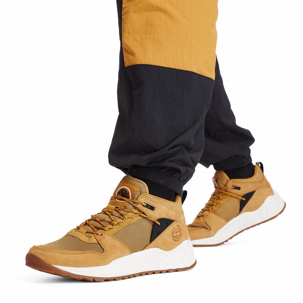 Pánské Tenisky Timberland Solar Wave GreenStride™ Žluté | TI79684-837