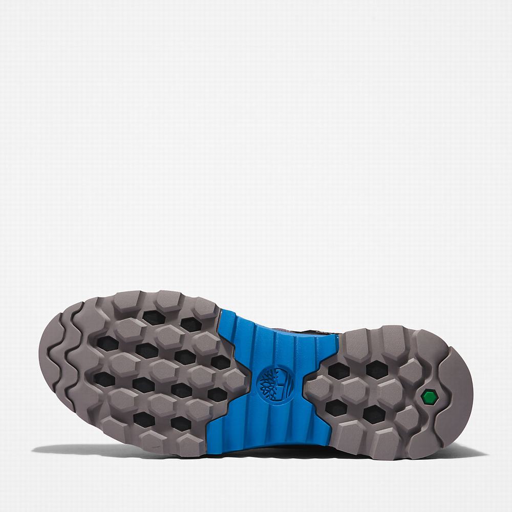 Pánské Tenisky Timberland Solar Wave LT GreenStride™ Šedé | TI59402-286