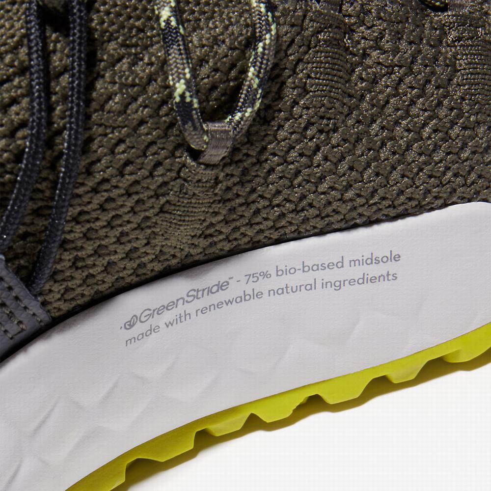 Pánské Tenisky Timberland Solar Wave Zelene | TI62491-326