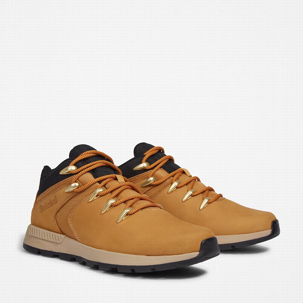 Pánské Tenisky Timberland Sprint Trekker Super Oxford Světle Hnědé | TI16594-534