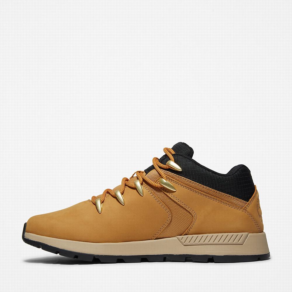 Pánské Tenisky Timberland Sprint Trekker Super Oxford Světle Hnědé | TI16594-534